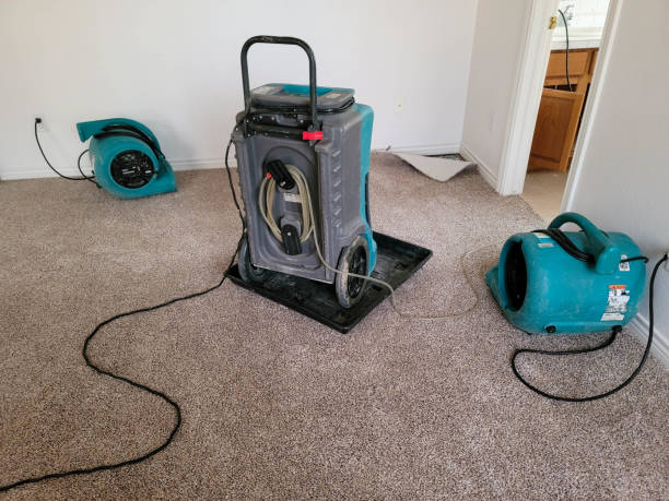 Best Basement water damage restoration  in St Albans, WV