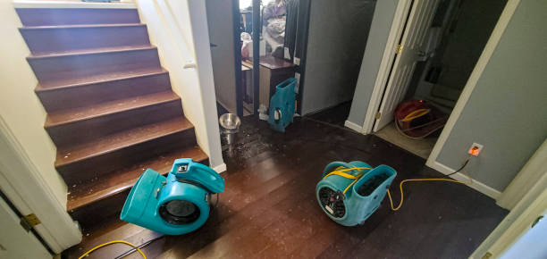 Best 24/7 water damage repair  in St Albans, WV