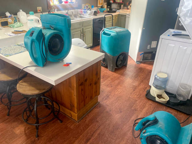 Best Sewage cleanup and water damage restoration  in St Albans, WV