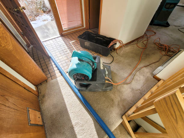 Best Residential water damage restoration  in St Albans, WV