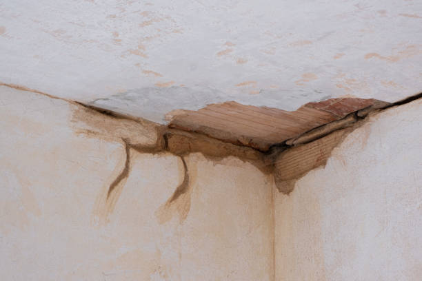 Best Flood restoration services  in St Albans, WV