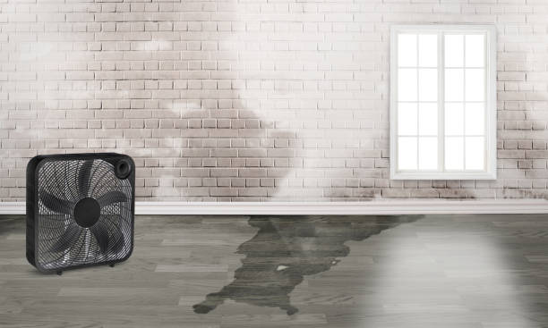 Best Ceiling water damage repair  in St Albans, WV