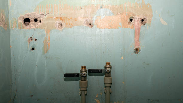 Best Water damage restoration services  in St Albans, WV