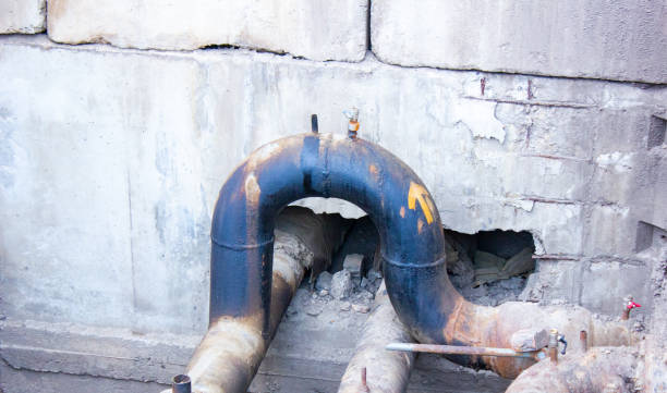 Best Professional water damage repair  in St Albans, WV
