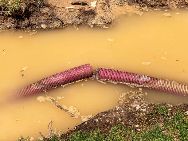 Best Mold removal after water damage  in St Albans, WV